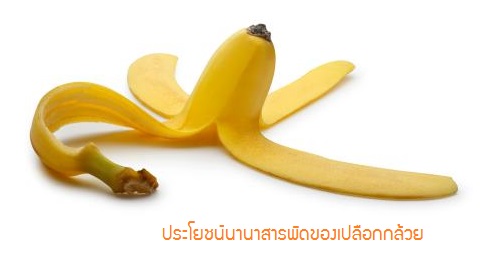 ประโยชน์นานาสารพัดของเปลือกกล้วย