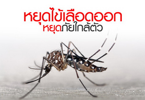 7 มาตรการเพื่อป้องกันโรคไข้เลือดออกจากยุงลาย